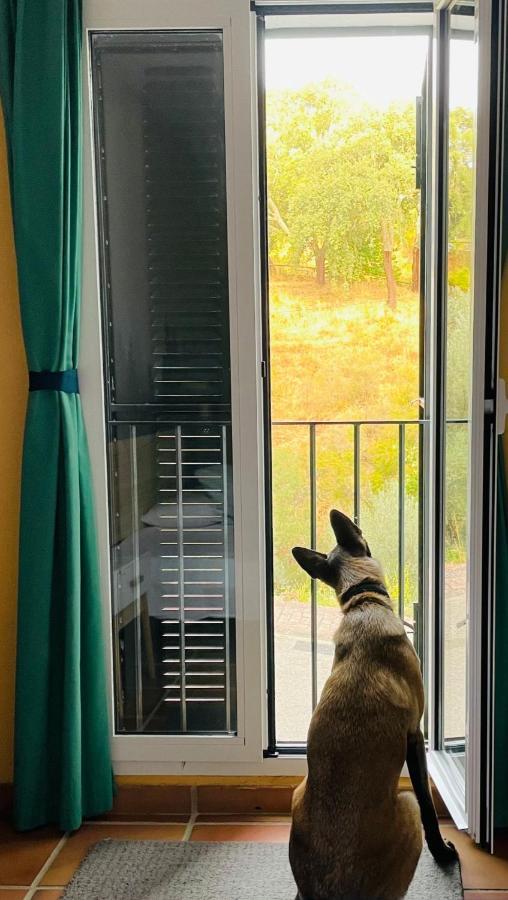 Casa Rural Una Ventana A La Montana Aracena Ngoại thất bức ảnh